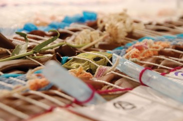 Detail of loom, photo by Merida Anderson