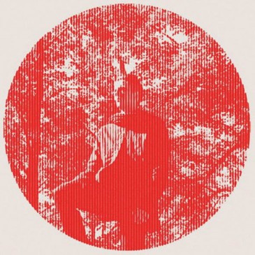 Owen Pallett - Heartland Owen Pallett - Heartland