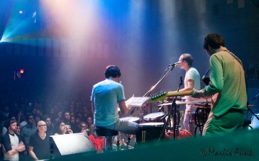 Caribou, photo by Marlis Funk