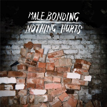 Male Bonding - Nothing Hurts Male Bonding - Nothing Hurts