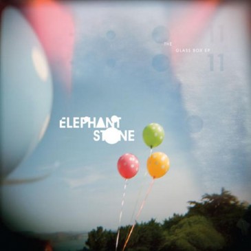 Elephant Stone - Glass Box