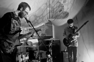 Weed at Zoo Zhop Weed at Zoo Zhop | photo by Audrey Alexandrescu
