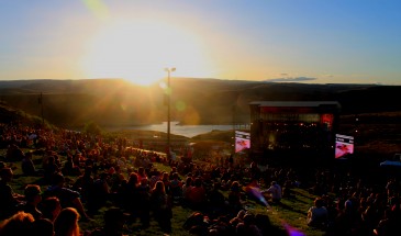 Sasquatch Sunset || photo by Julia Badayeva