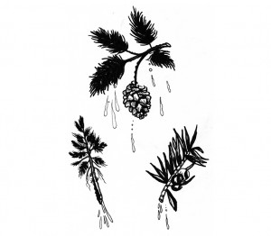 Sam Tudor || Illustration by Janee Auger for Discorder Magazine