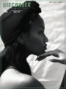 11 Discorder cover