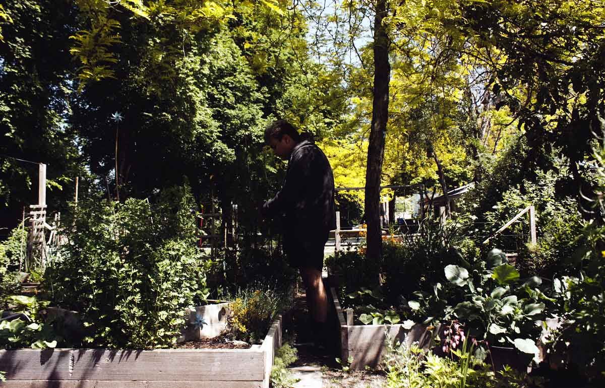 A figure is nestled in an overflowing garden intently leaning over a trough on the left side of the frame