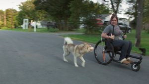 a still from Olivia Dreisinger's "Handler is Crazy" of Banner running beside Koyote Moon.